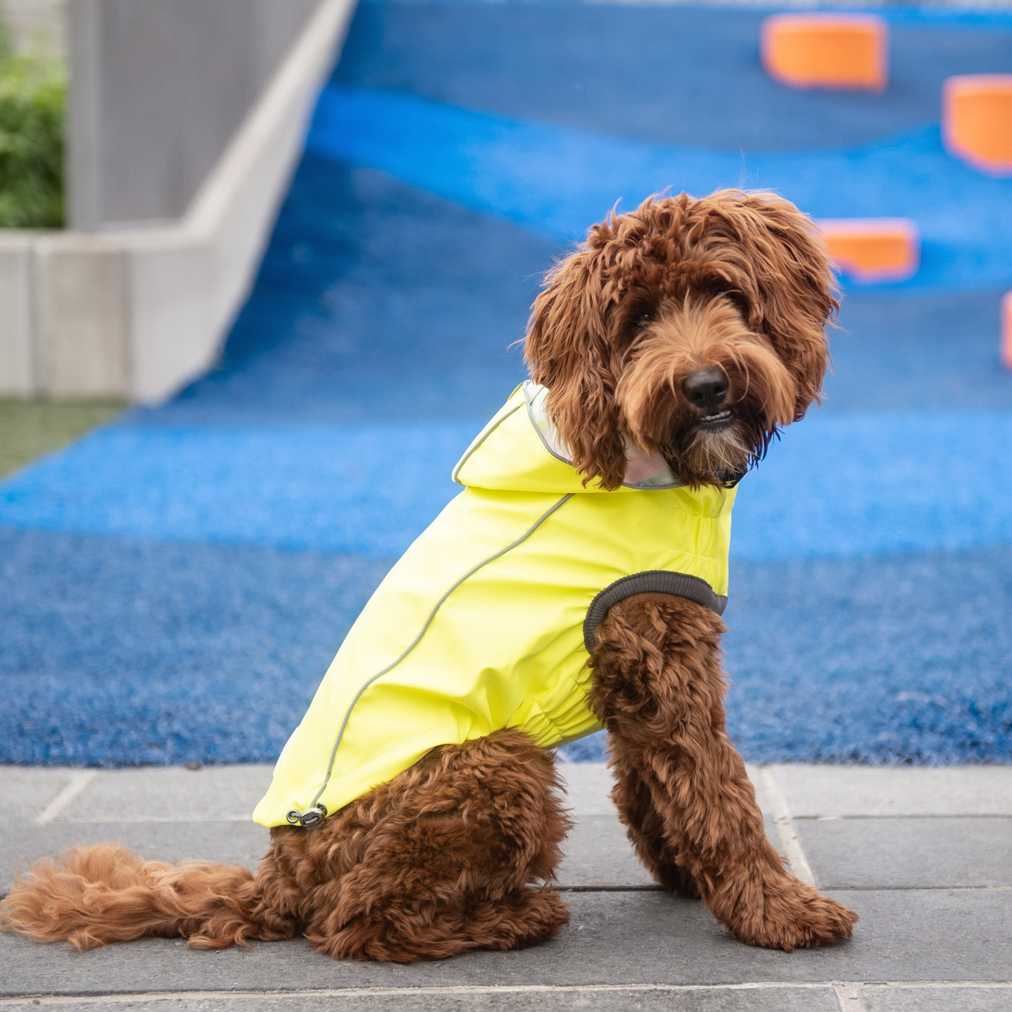 Reversible Raincoat for Dogs- Neon Yellow with Tie Dye