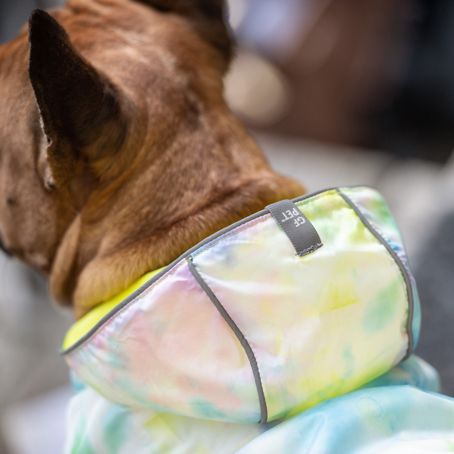 Reversible Raincoat for Dogs- Neon Yellow with Tie Dye