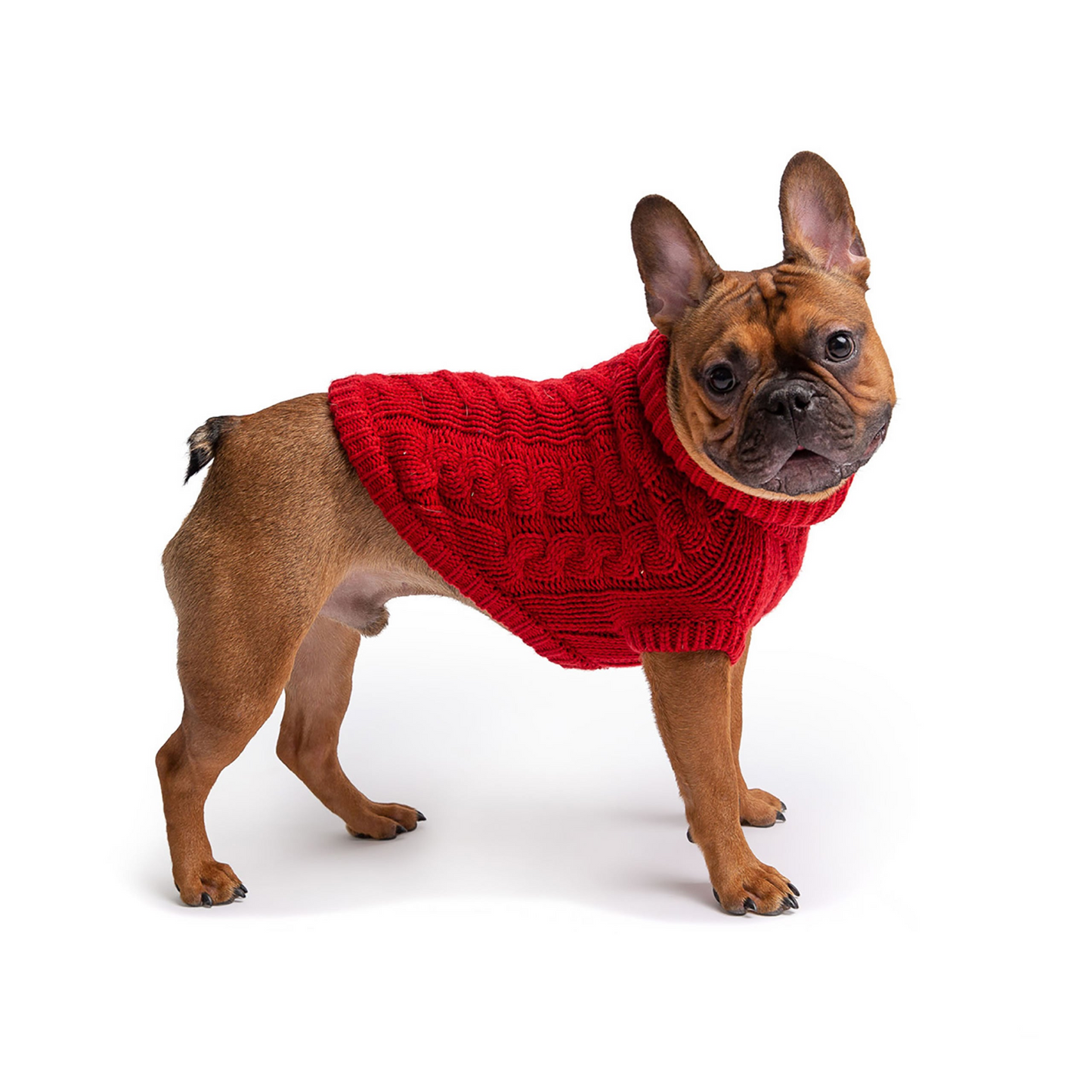 Chalet Dog Sweater Cable knit- Red