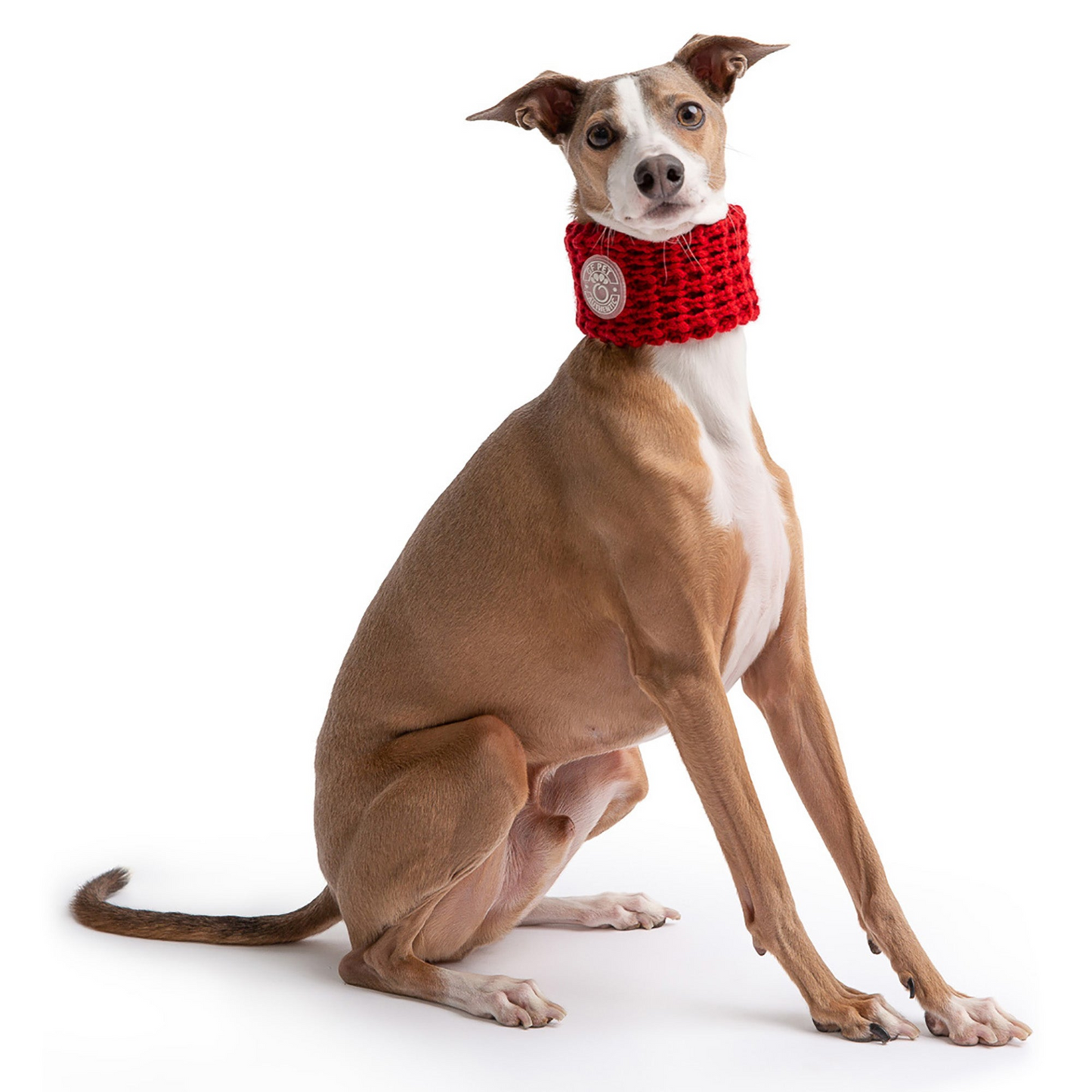 Chalet Tube Scarf for Dogs- Red