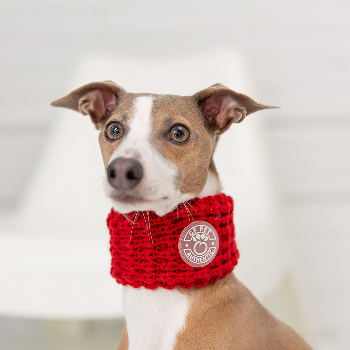 Chalet Tube Scarf for Dogs- Red