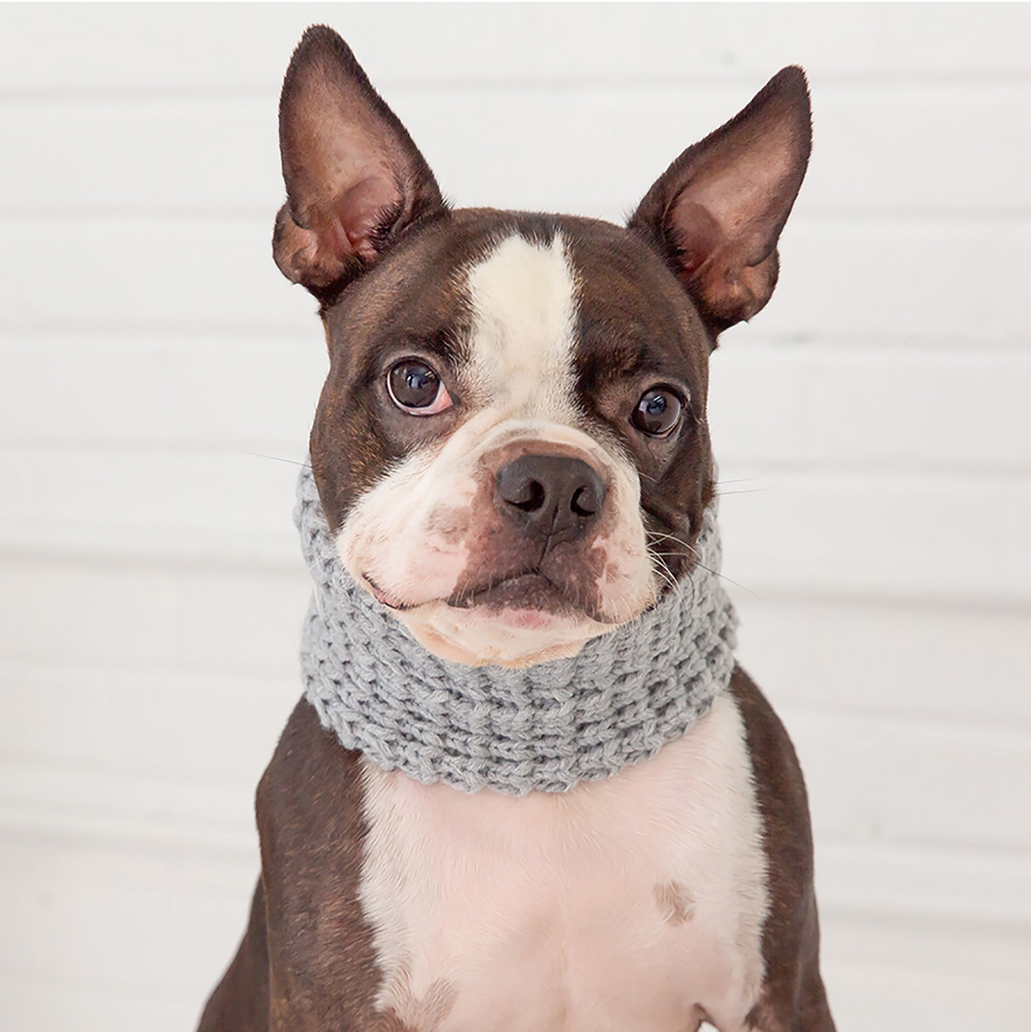 Chalet Tube Scarf for Dogs- Heather Grey