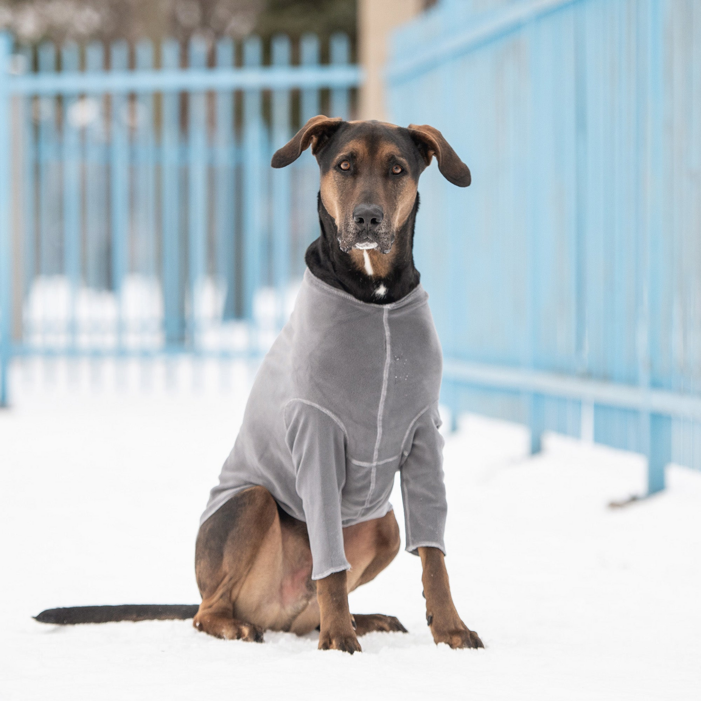 Fleece Under Layer for Dogs - Charcoal