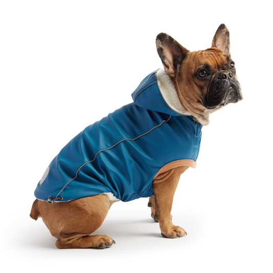 Insulated Raincoat for Dogs- Dark Blue