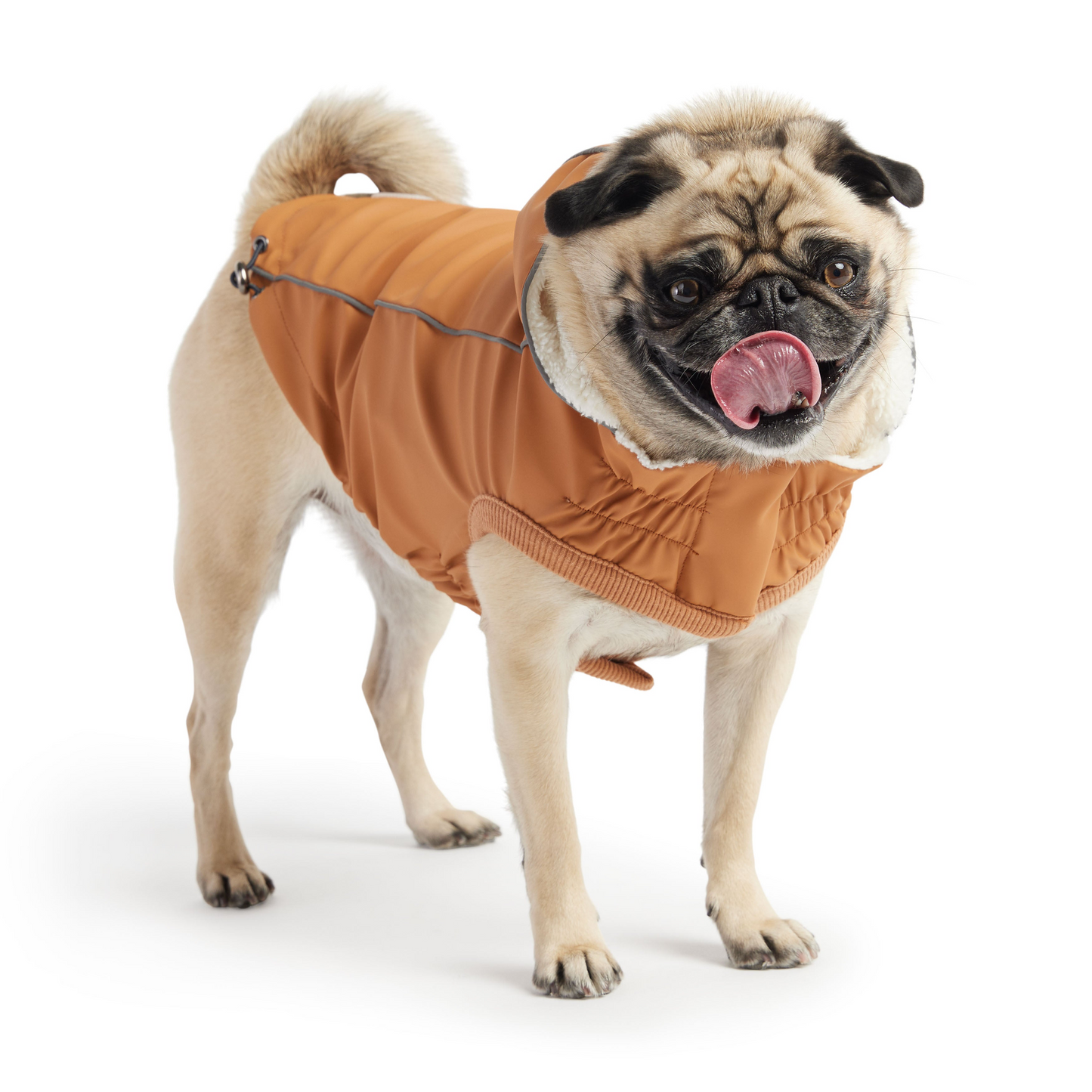 Insulated Raincoat for Dogs- Hazel