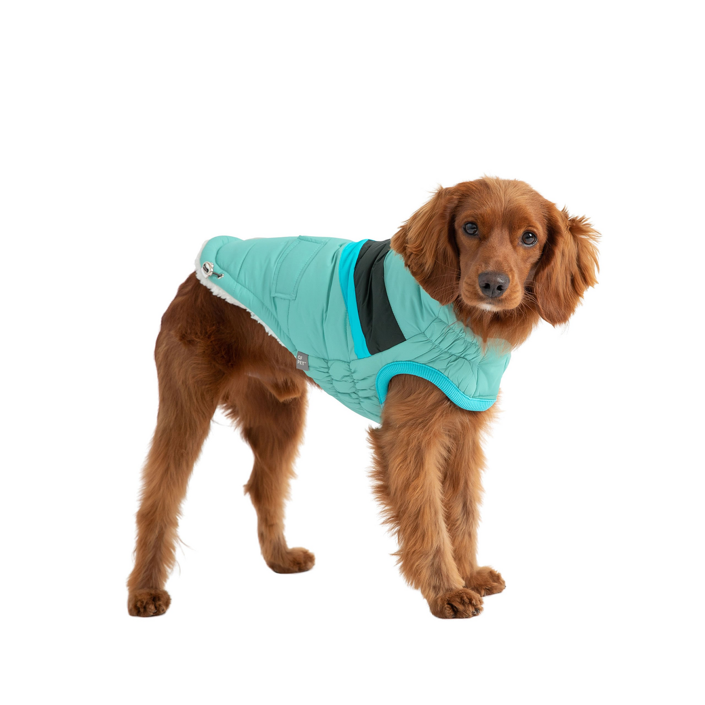 Alpine Puffer Coat for Dogs- Light Aqua