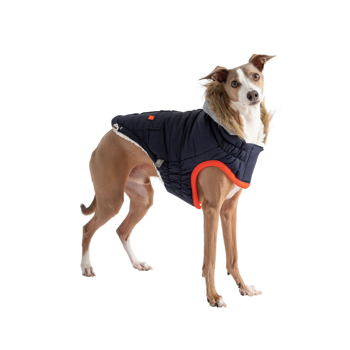 Winter Sailor Parka for Dogs - Navy