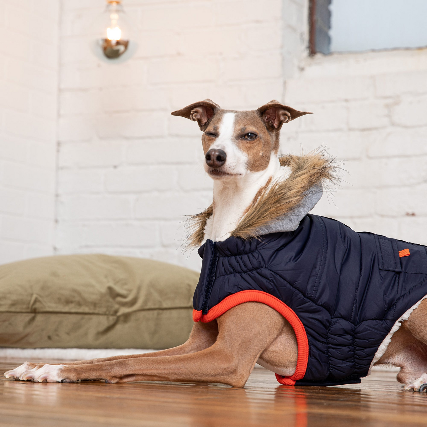 Winter Sailor Parka for Dogs - Navy