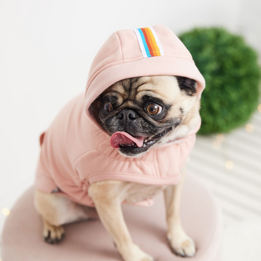 Urban Hoodie for Dogs - Pink