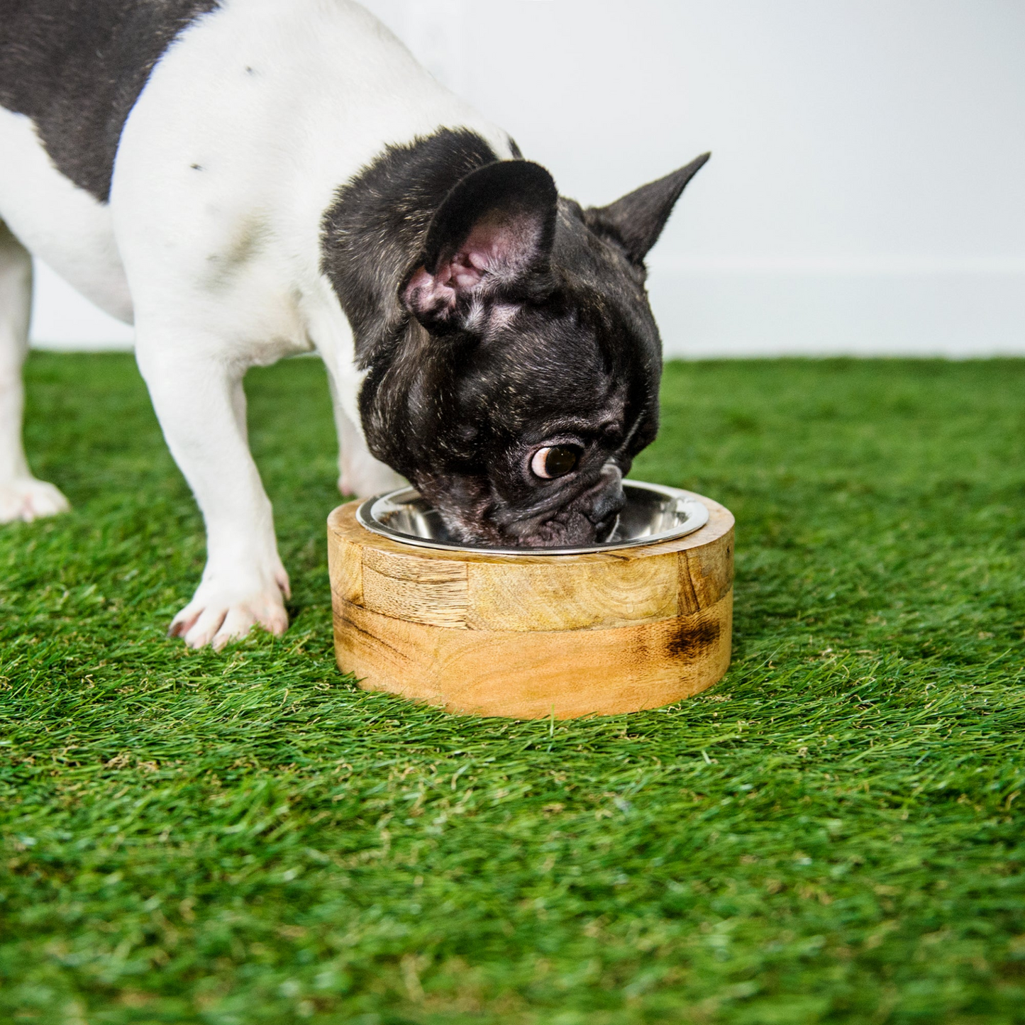 Mango Wood Dog Bowl