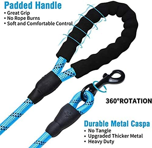 6 FT Thick Highly Reflective Dog Leash- Blue