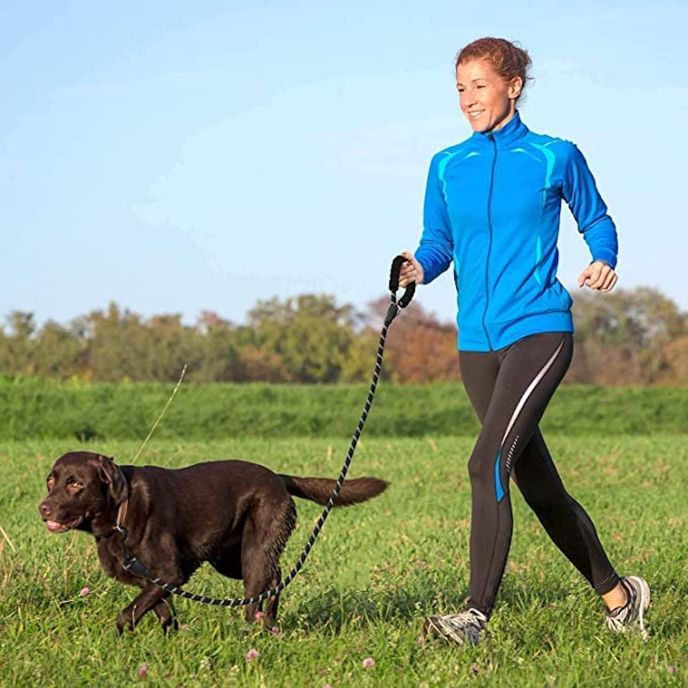 6 FT Thick Highly Reflective Dog Leash- Blue