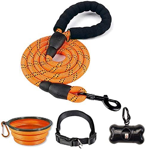 6 FT Thick Highly Reflective Dog Leash- Orange