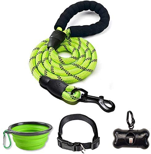 6 FT Thick Highly Reflective Dog Leash- Green