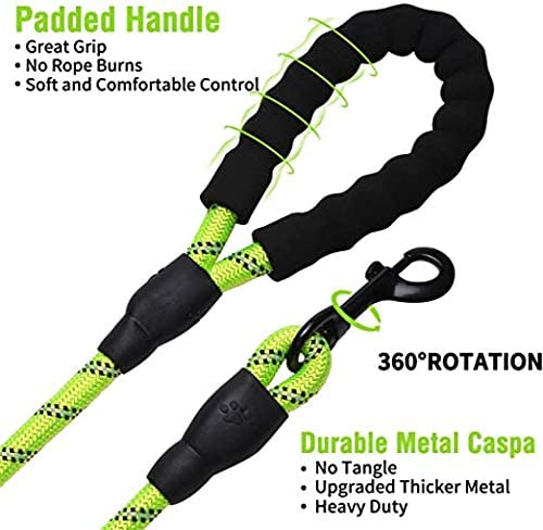 6 FT Thick Highly Reflective Dog Leash- Green