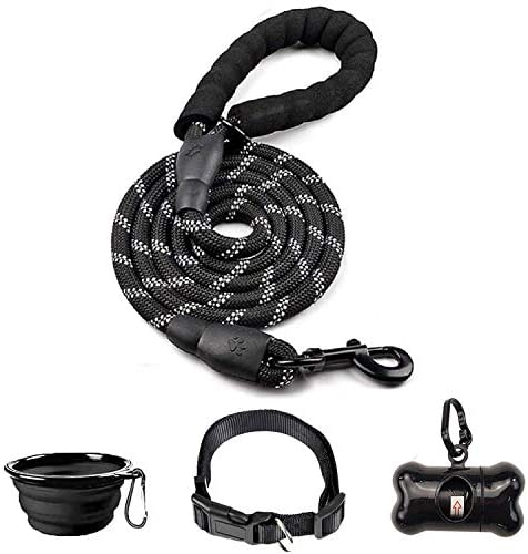 6 FT Thick Highly Reflective Dog Leash- Black