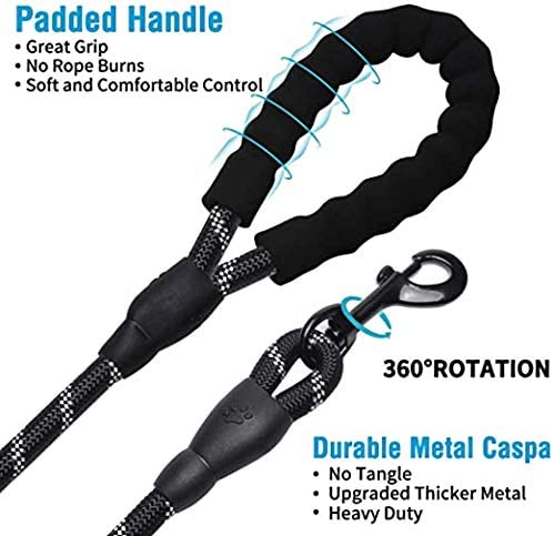 6 FT Thick Highly Reflective Dog Leash- Black