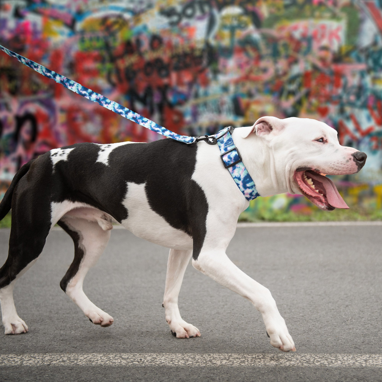 Dog Leash - Tie Dye