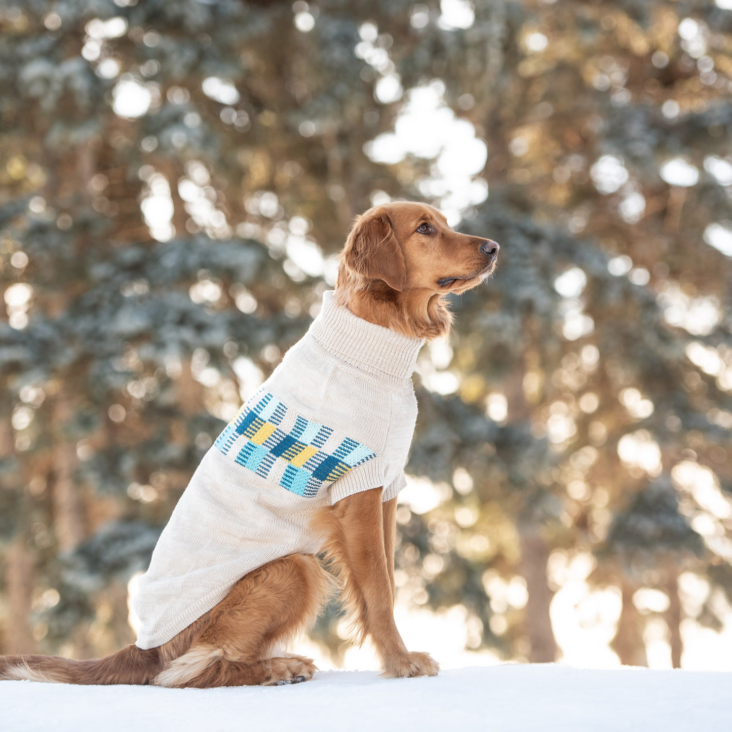 Winter Sailor Sweater for Dogs- Oatmeal Mix