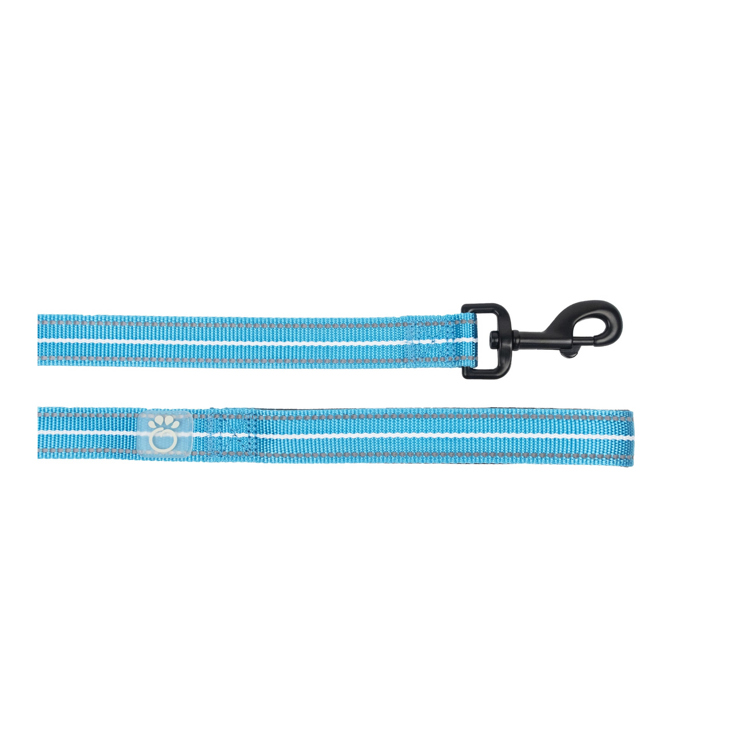 Reflective Leash for Dogs- Neon Blue