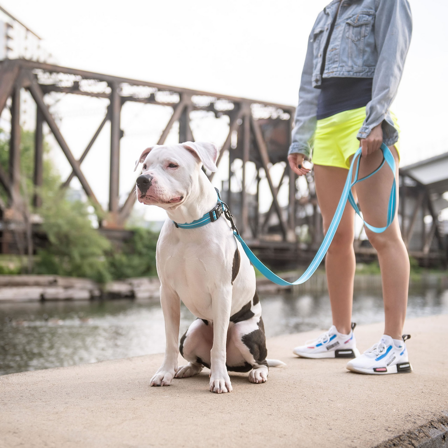 Reflective Leash for Dogs- Neon Blue