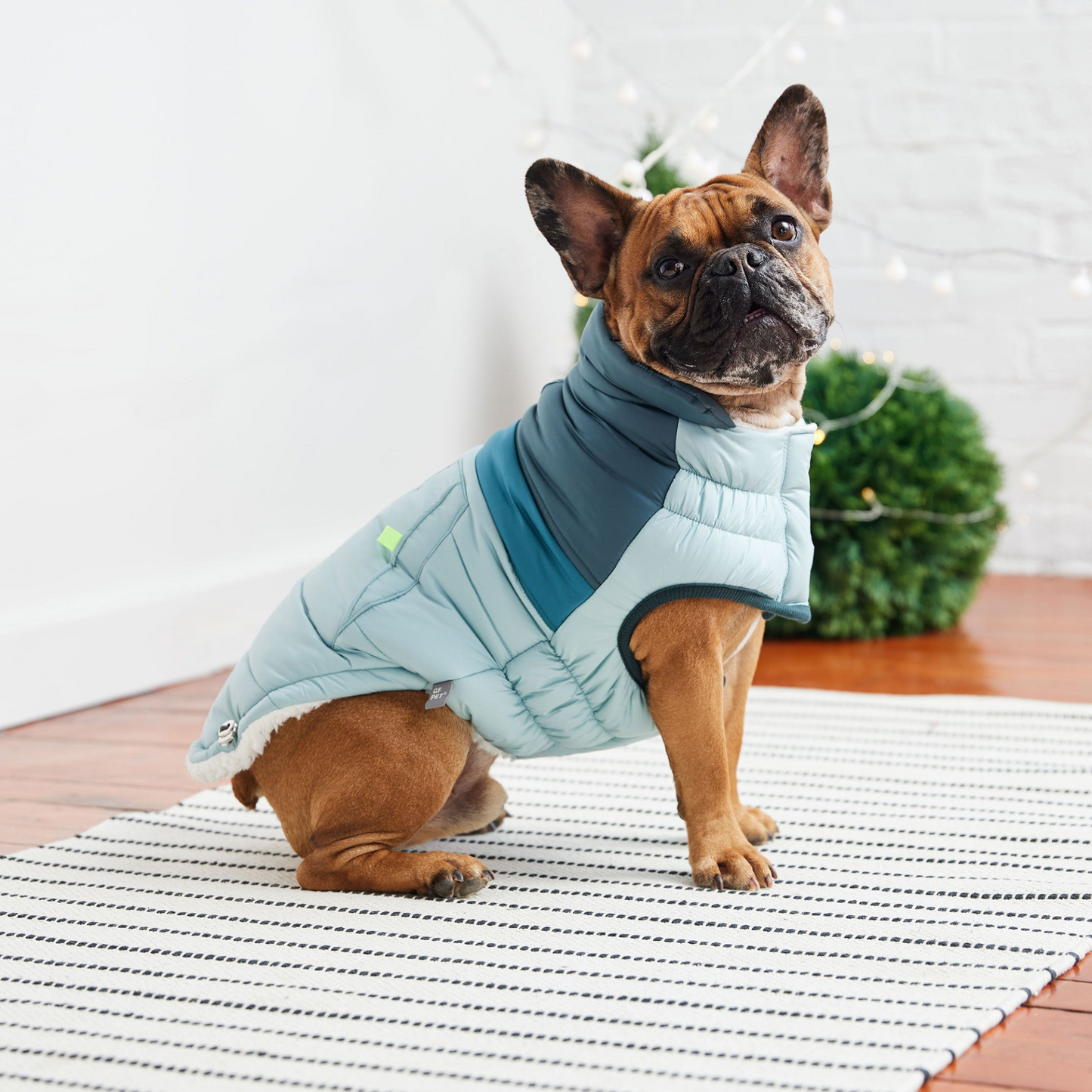 Retro Puffer Coat for Dogs - Light Blue