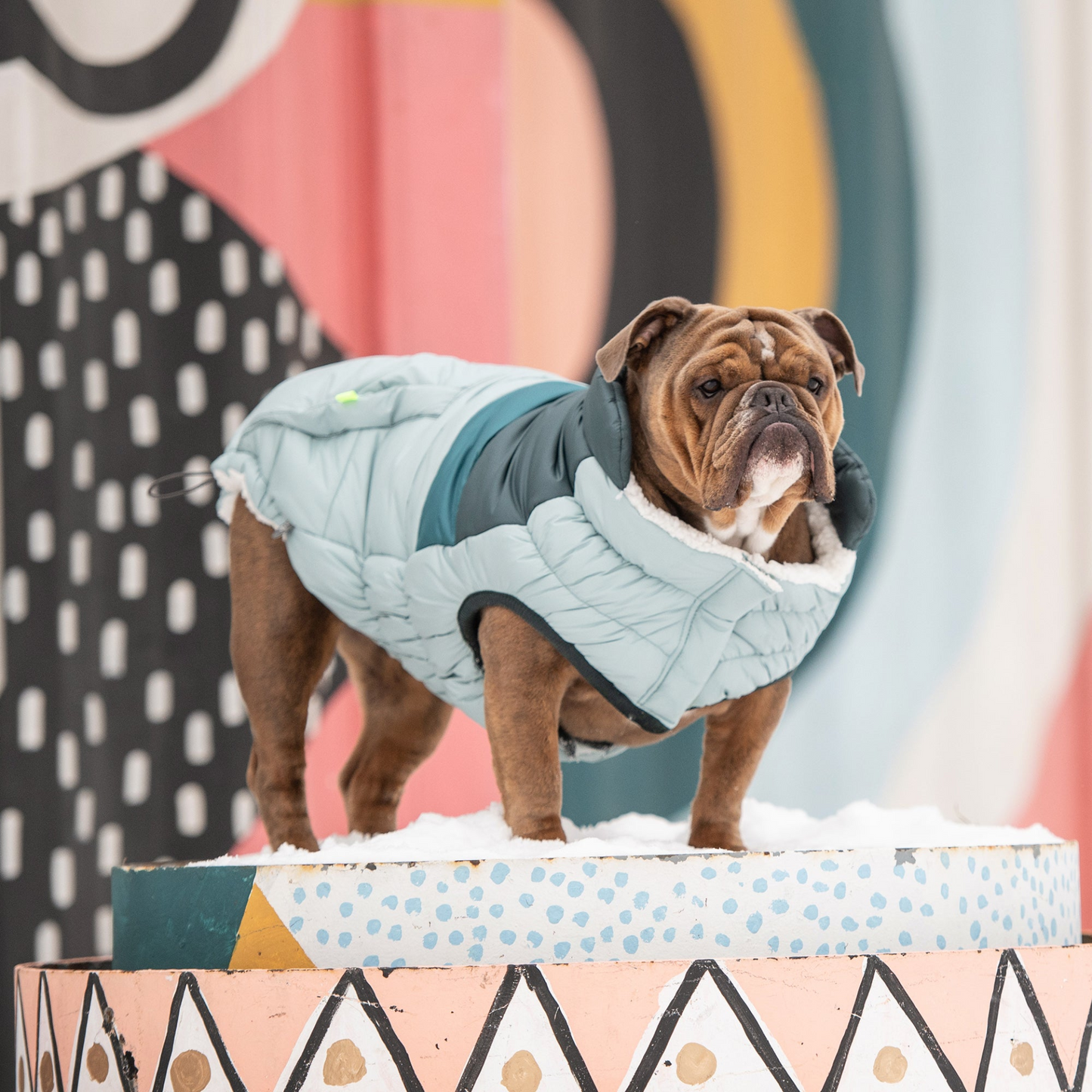 Retro Puffer Coat for Dogs - Light Blue