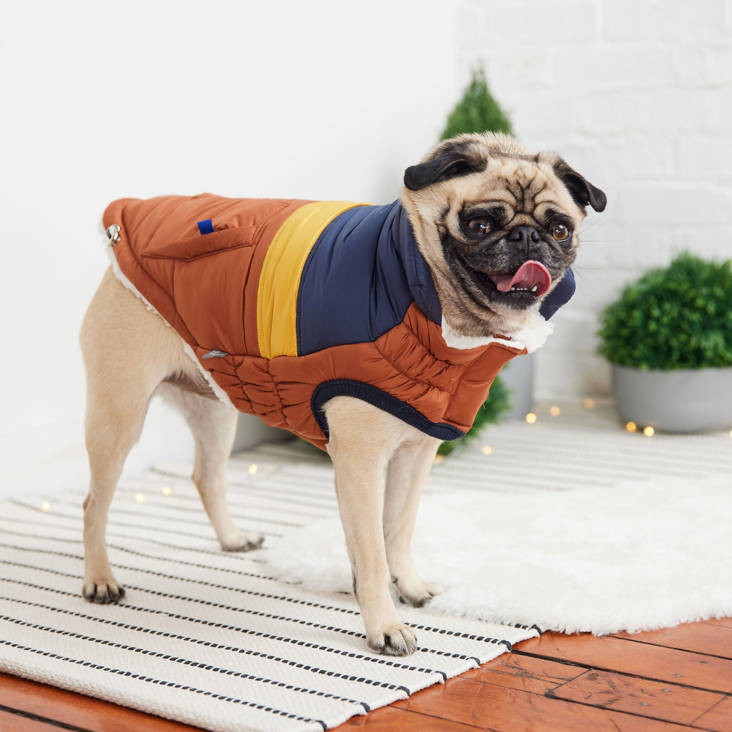 Retro Puffer Coat for Dogs- Hazel