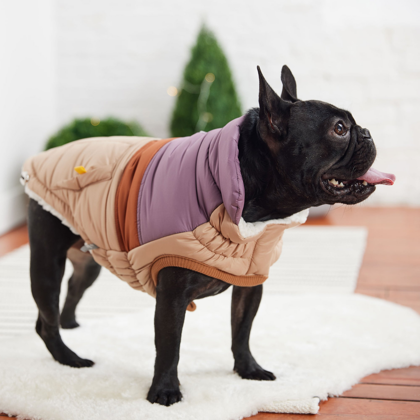 Retro Puffer Coat for Dogs- Sand