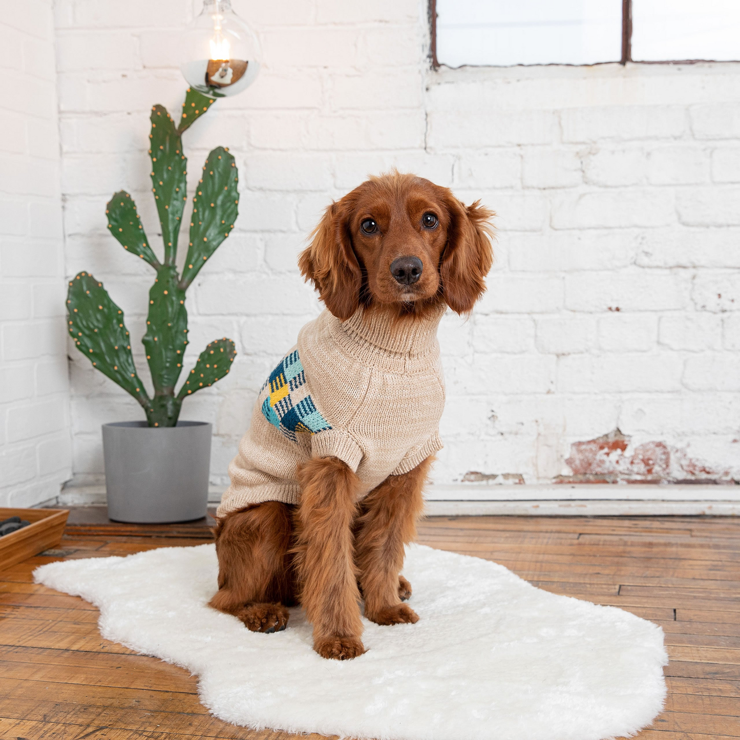 Winter Sailor Sweater for Dogs- Oatmeal Mix