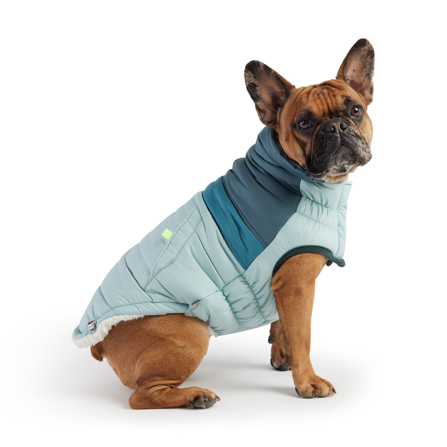 Retro Puffer Coat for Dogs - Light Blue