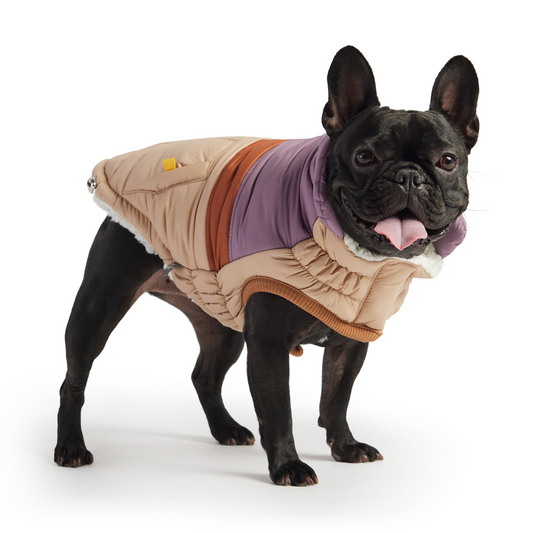 Retro Puffer Coat for Dogs- Sand